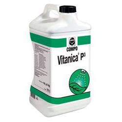 Vitanica P3
