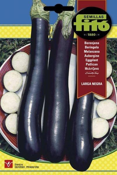 BERENJENA LARGA NEGRA SUPERBOL