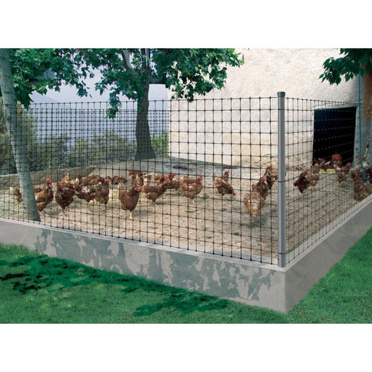 AVINET MALLA AVES 1x10 MTS REF.174641