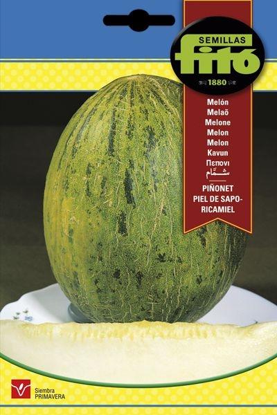 MELON PIÑONET PIEL DE SAPO ECOLOGICO SUPERBOL