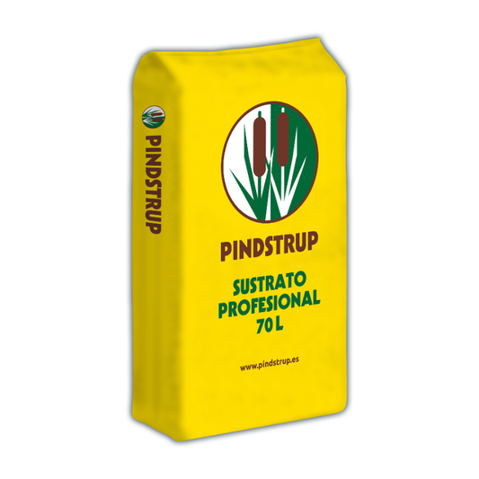 PINDS. SUSTRATO PROF. REC. 1 70 LTS.