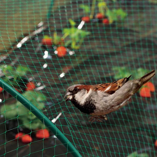 BIRDNET 2x10 MTS VERDE REF.120010