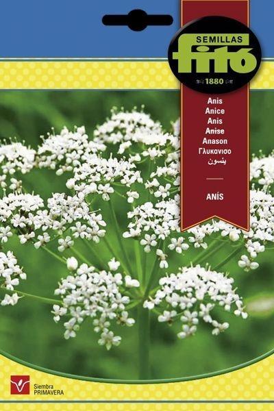 ANIS SUPERBOL