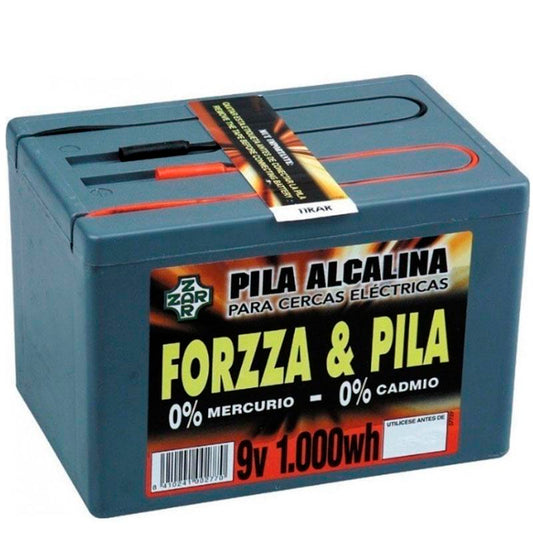 PILA FORZZA 9V. 1000Wh. ALCALINA COD.PA301