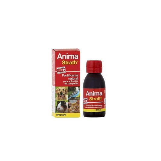 ANIMA STRATH  100 C.C.